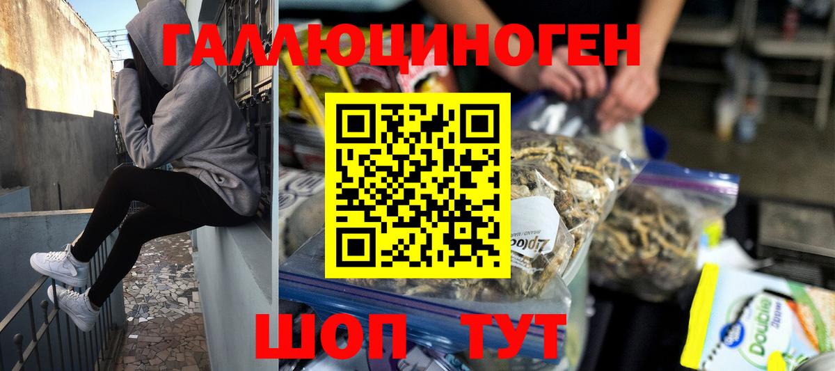 Псилоцибиновые грибы Psilocybine cubensis Тобольск