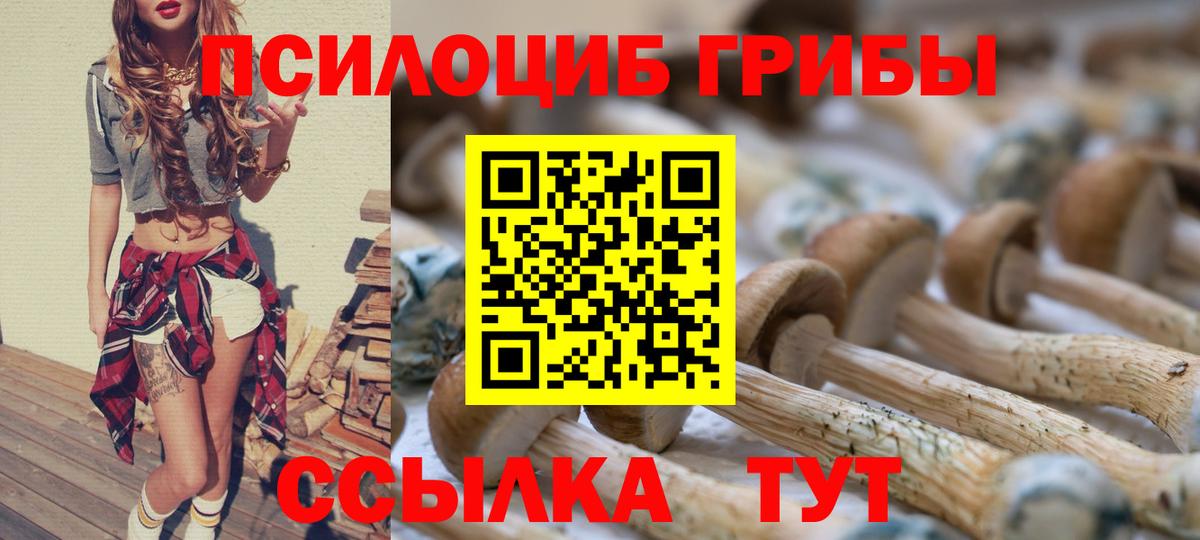 Галлюциногенные грибы Cubensis  Вход с VPN  купить наркотик  Тобольск 